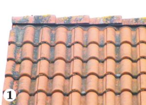 Jen několik let stará tašková střecha pokrytá špínou, mechy a lyšejníky